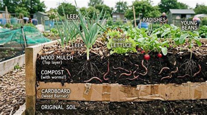 What are the layers of a no-dig garden?