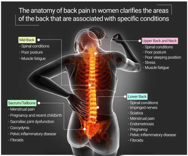 What causes waist pain in female?