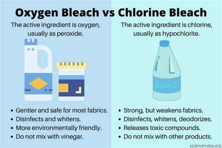 What does bleach do for your pool?
