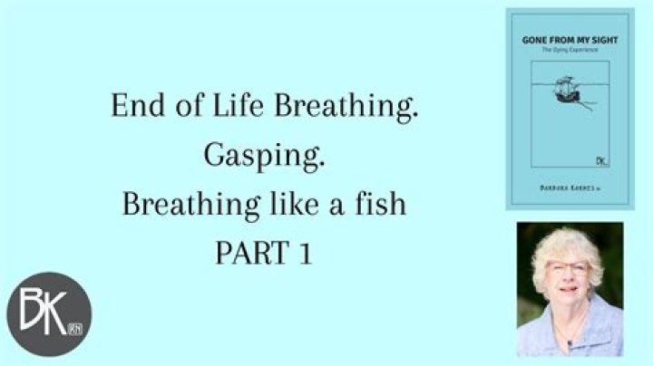 What does end-of-life breathing look like?