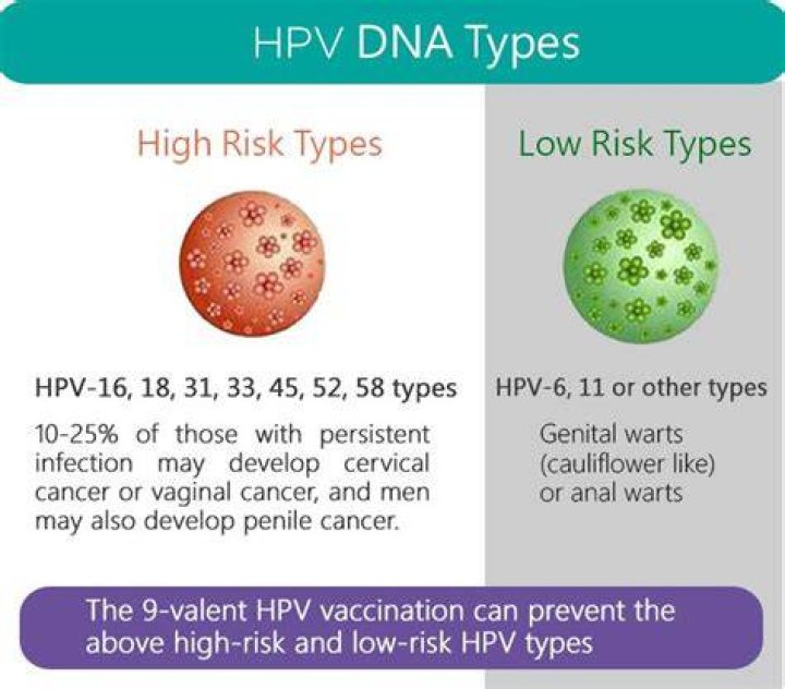What does HPV high-risk positive?
