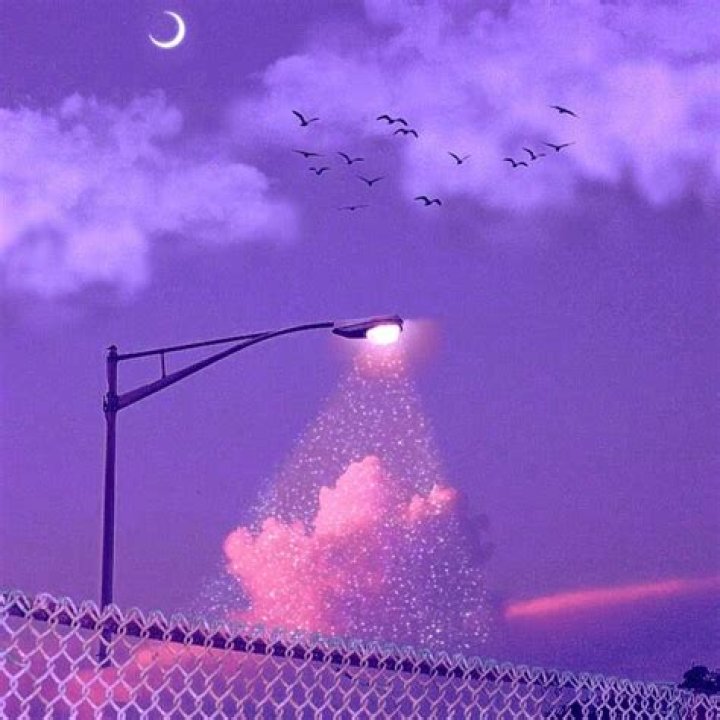 What does lovely picture mean?