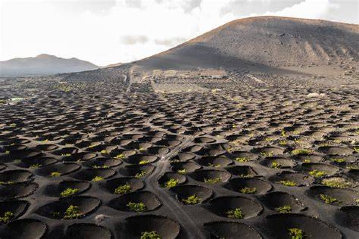 What does villages mean in wine?