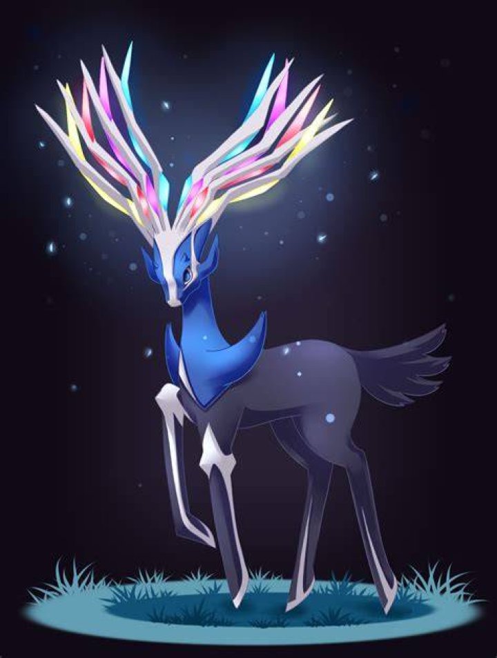 What does Xerneas look like?