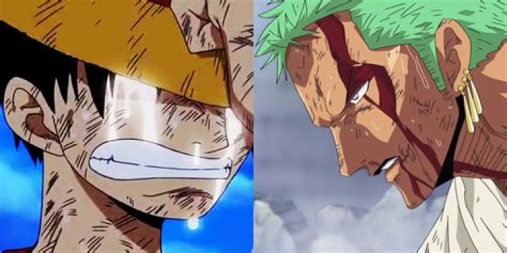 What episode does Zoro cut Luffy's chest?