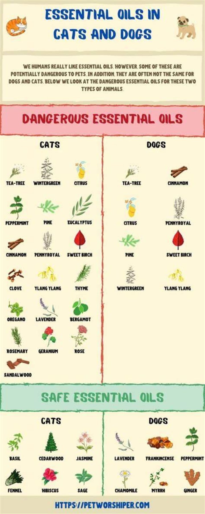What essential oils are bad for dogs and cats?