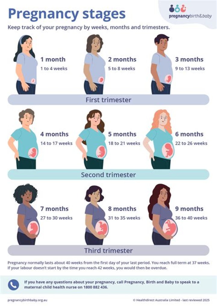 What happens if you get pregnant active duty?
