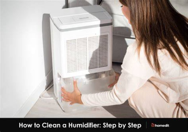What happens when you don't clean your humidifier?