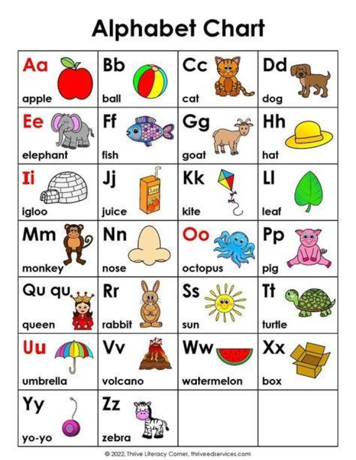 What is an ABC list?
