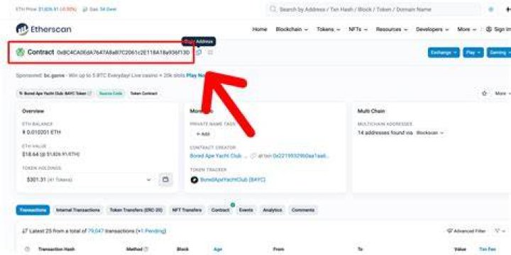 What is my NFT address?