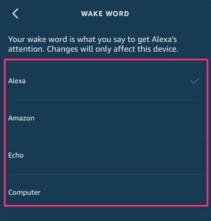 What is the Alexa wake word?