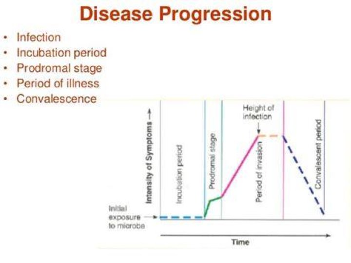 What is the prodromal stage?