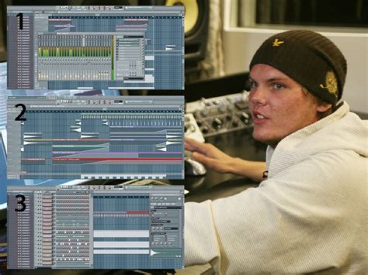 What software did avicii use?