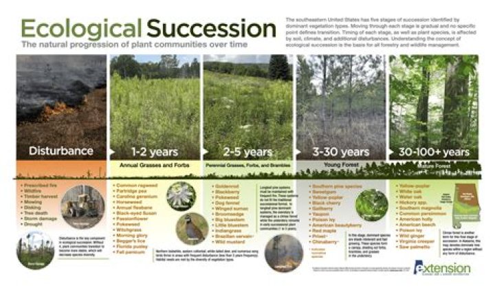 What trees are difficult to grow?
