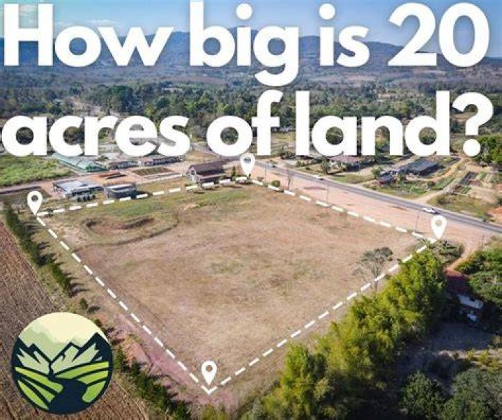 What would 40 acres and a mule cost today?
