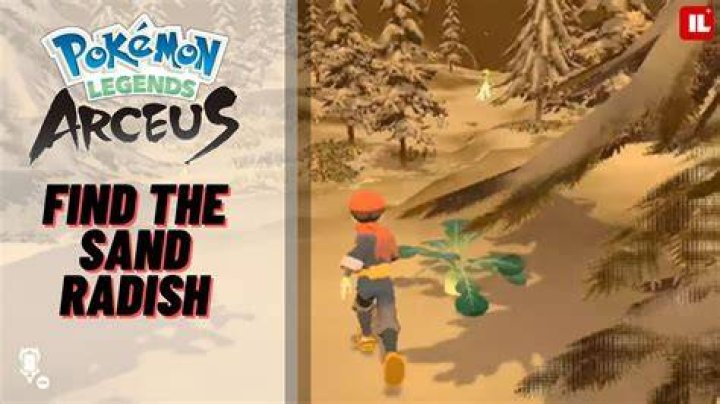 Where can I buy sand radish arceus?