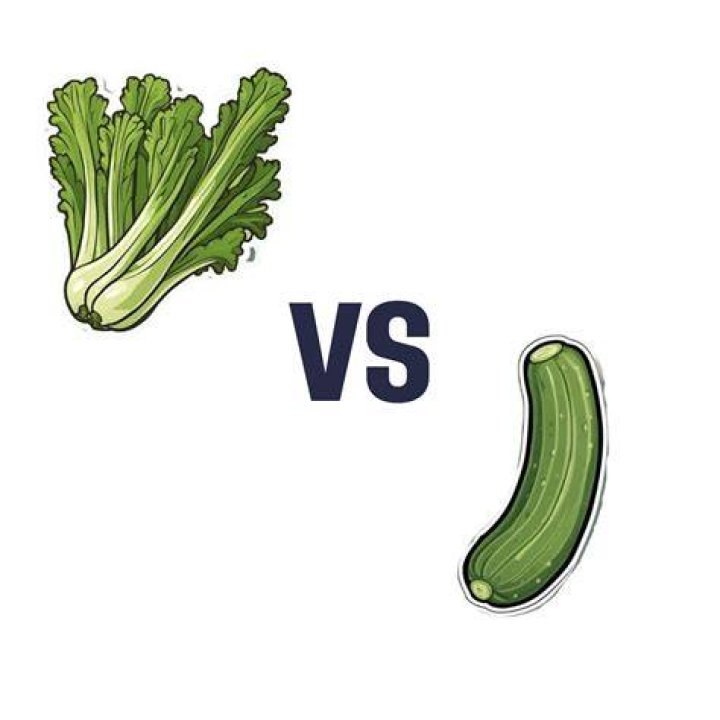 Which is better cucumber or celery?