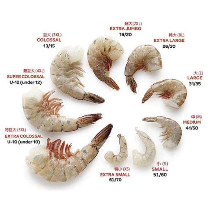 Which shrimp is the sweetest?
