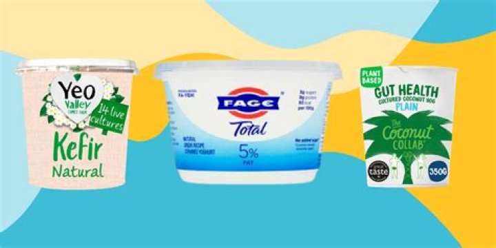 Which yogurt cultures are best?