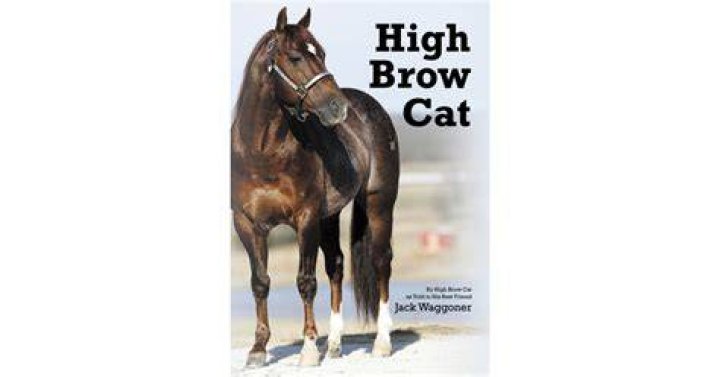 Who owns High Brow Cat?