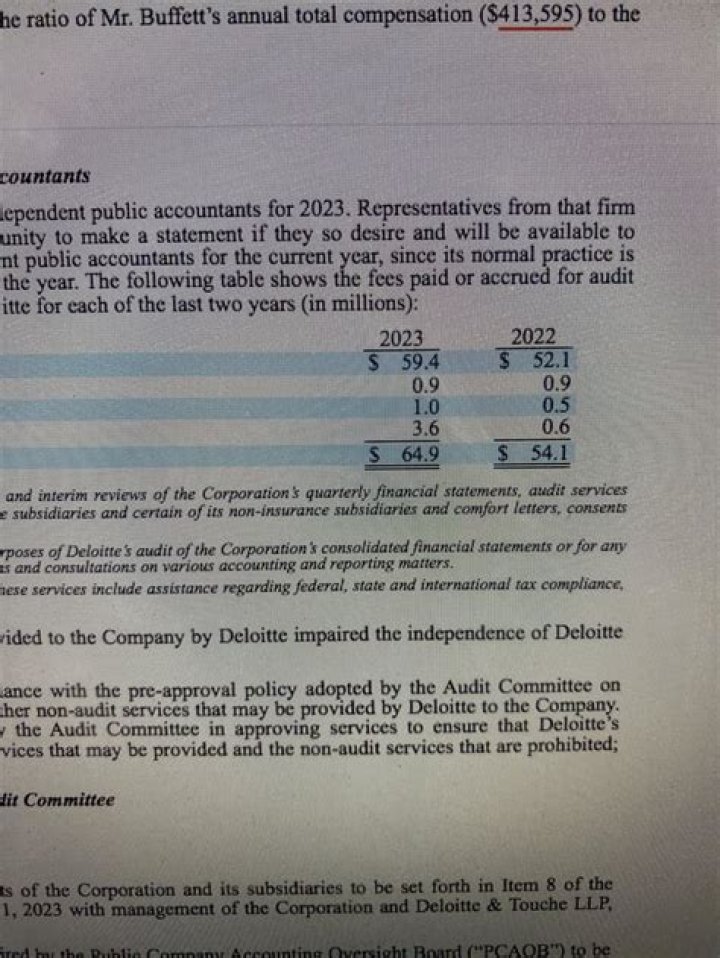 Who pays the most in audit fees?