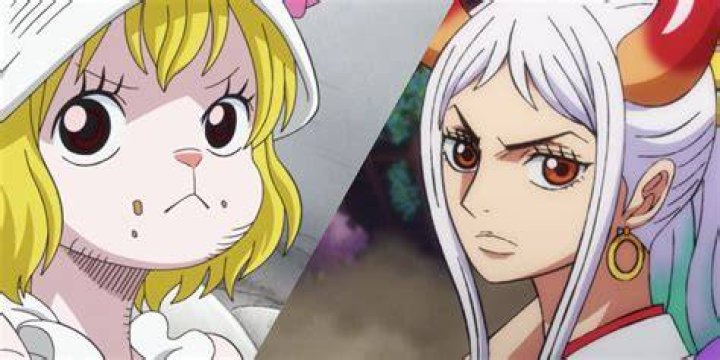 Who will join Straw Hats?