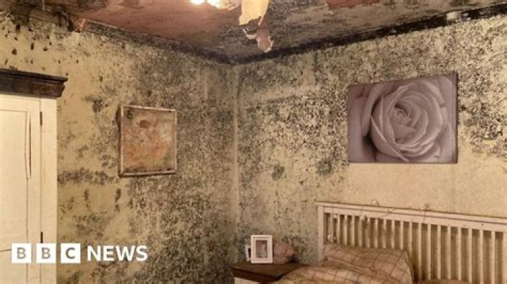 Why are British houses so Mouldy and damp?