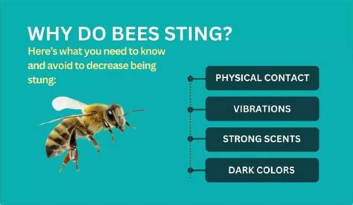 Will bees sting you if you touch them?