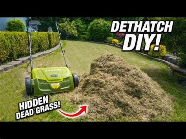 Will Dethatching remove crabgrass?